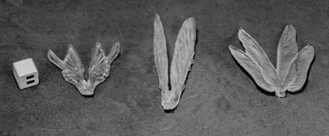 Reaper Miniatures 77582: Transparent Wings (3)